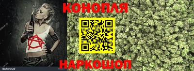 прущие крисы Будённовск
