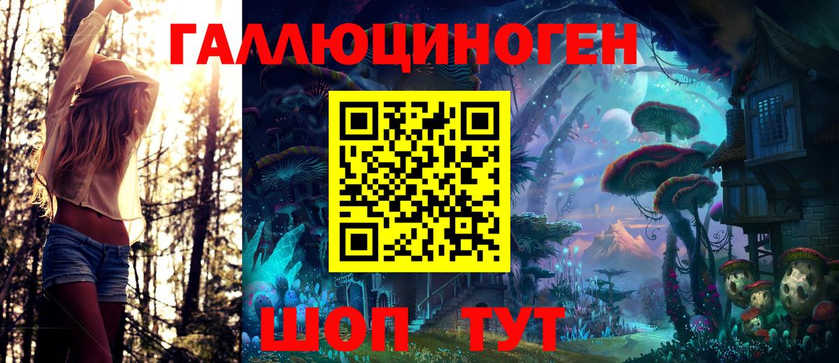 Псилоцибиновые грибы Psilocybine cubensis Томск