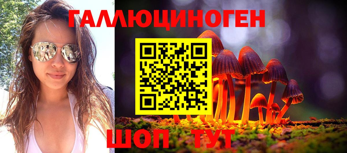 Галлюциногенные грибы Psilocybine cubensis  Вход с VPN  Томск 